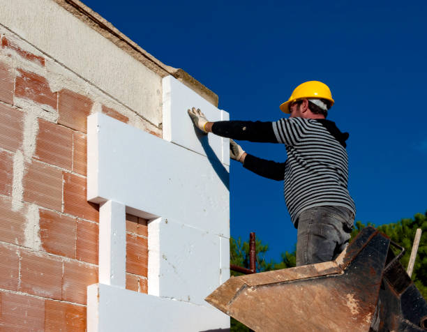 Best Insulation for New Construction  in Walterboro, SC