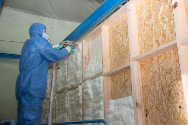 Best Insulation Replacement Services  in Walterboro, SC